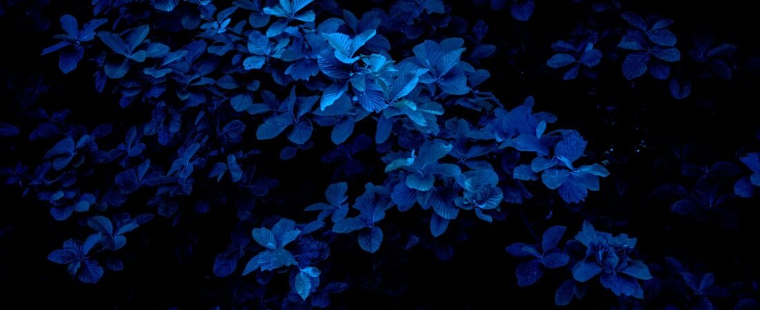 Explorando as Vendas Online com Tons de Azul: Uma Análise do Azul Escuro e Azul Claro