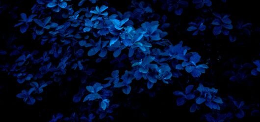Explorando as Vendas Online com Tons de Azul: Uma Análise do Azul Escuro e Azul Claro
