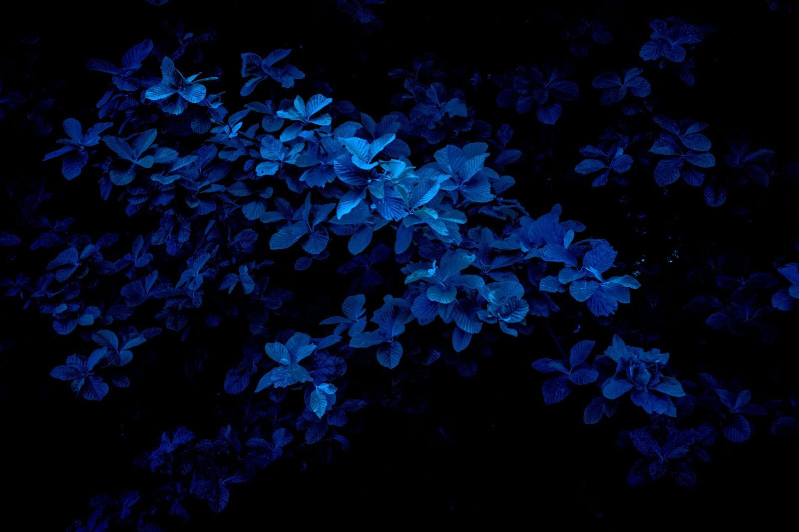 Explorando as Vendas Online com Tons de Azul: Uma Análise do Azul Escuro e Azul Claro